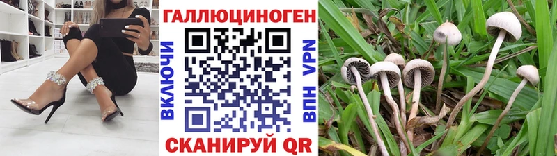 Галлюциногенные грибы GOLDEN TEACHER Купить закладки Кедровый